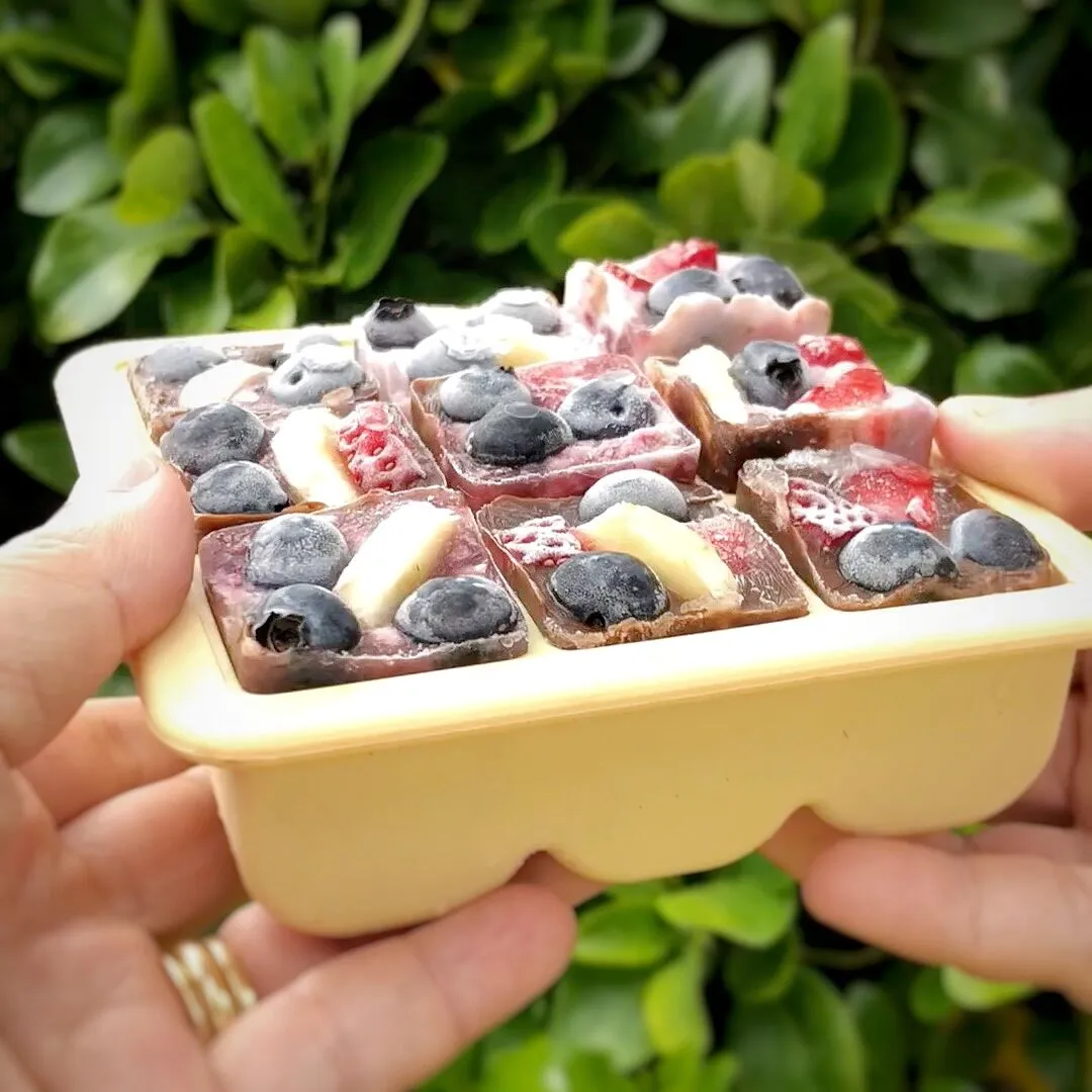 Baby Food and Breast Milk Freezer Tray