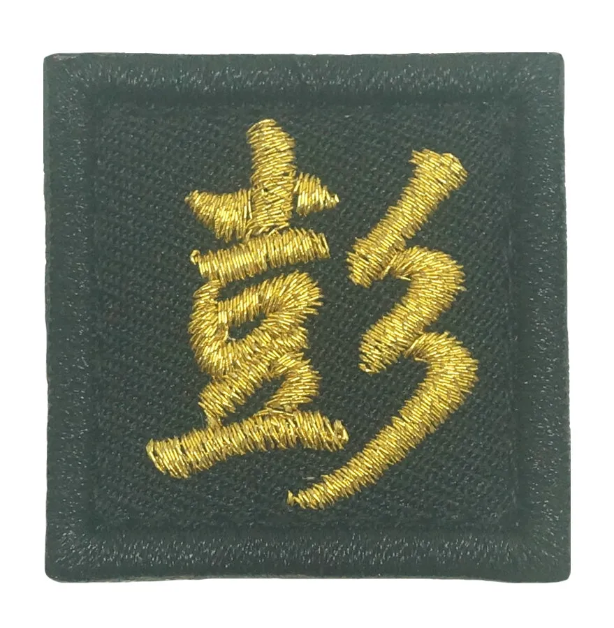 CHINESE SURNAME VELCRO PATCH - PENG 彭