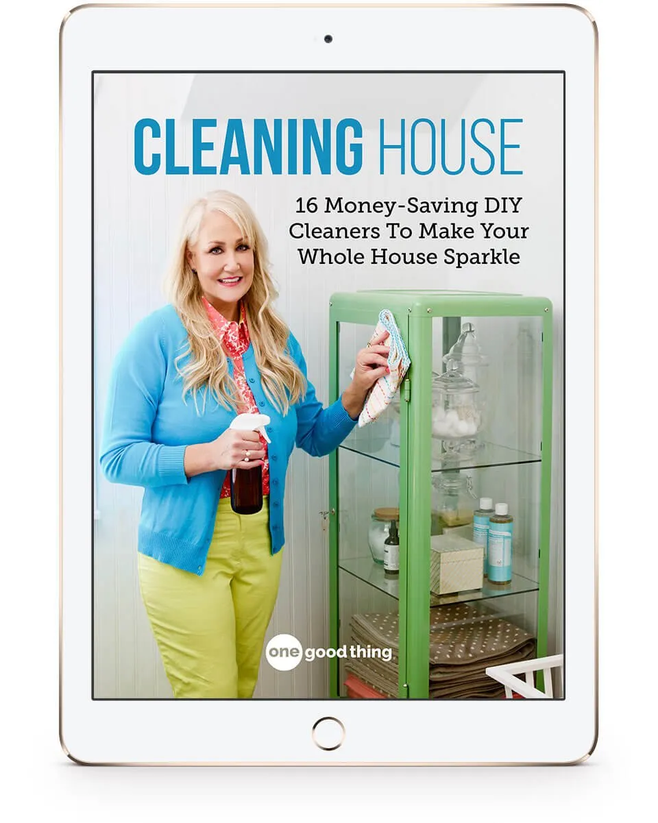 Cleaning House eBook