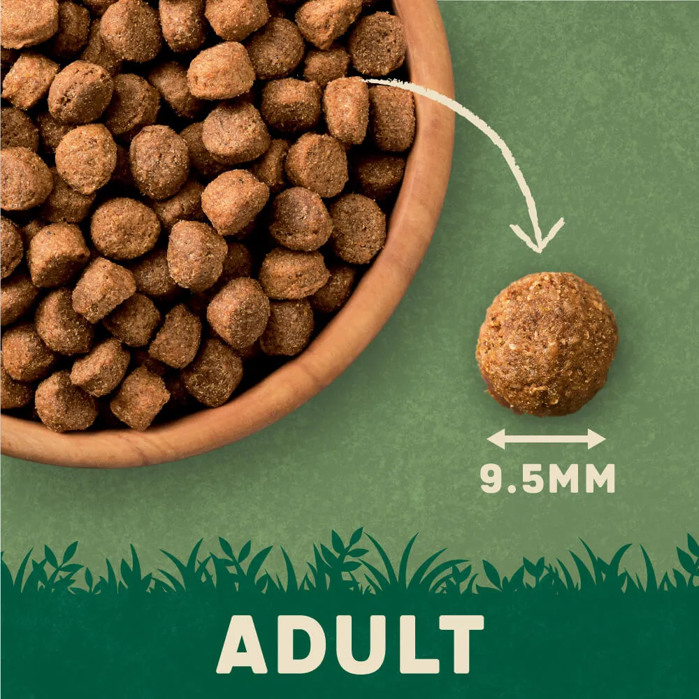 Dry Adult Dog Food Rich in Beef & Rice 1.7kg