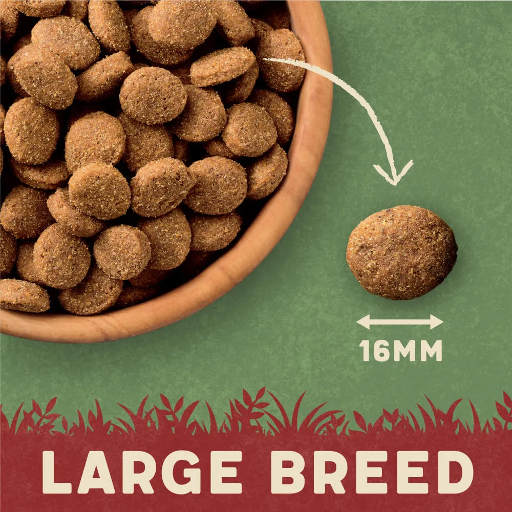 Dry Large Breed Adult Dog Food Rich in Turkey & Rice 14kg