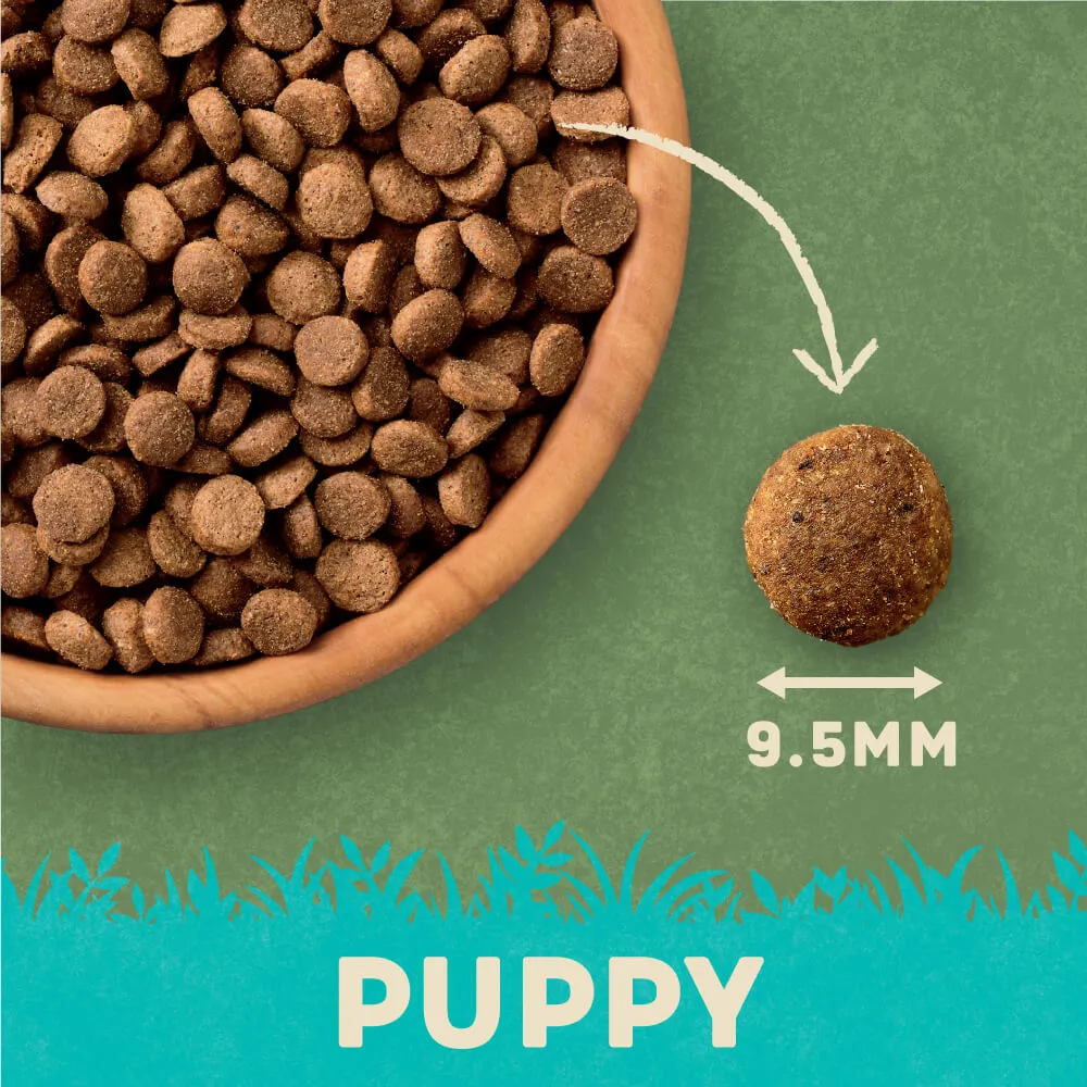 Dry Puppy Food Rich in Chicken & Rice 10kg