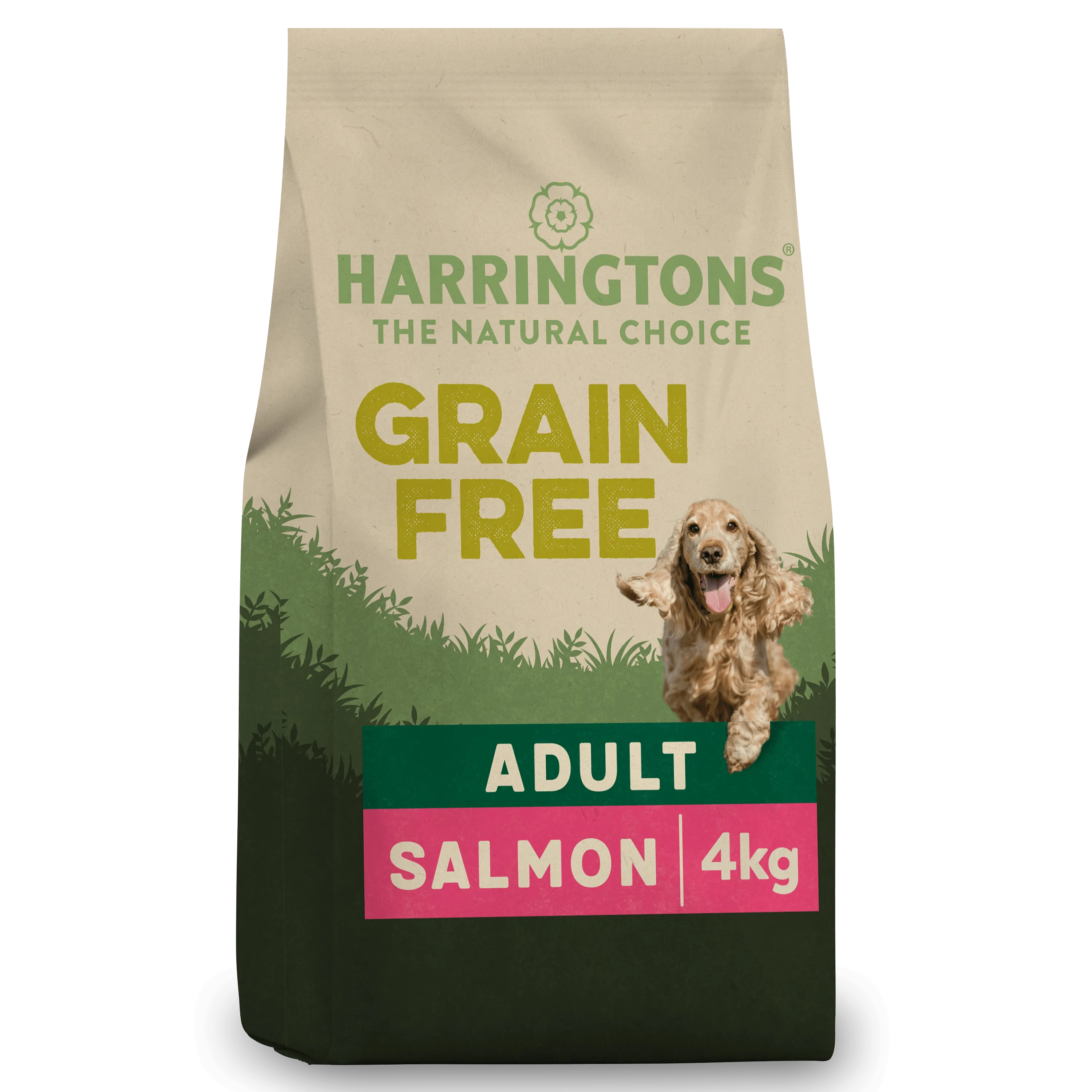 Grain-Free Dry Adult Dog Food Salmon & Sweet Potato 4kg