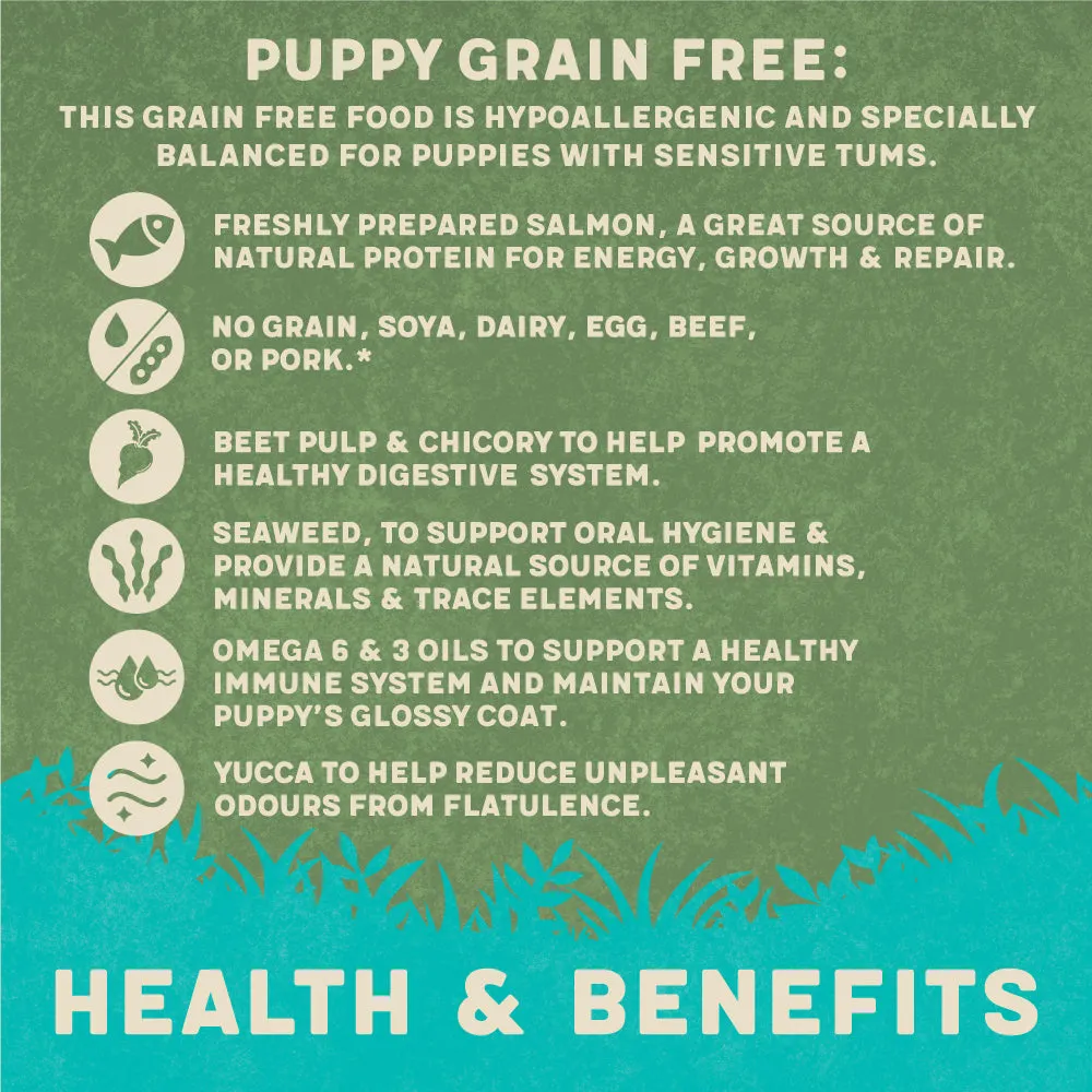 Grain-Free Dry Puppy Food Rich in Salmon & Sweet Potato 10kg