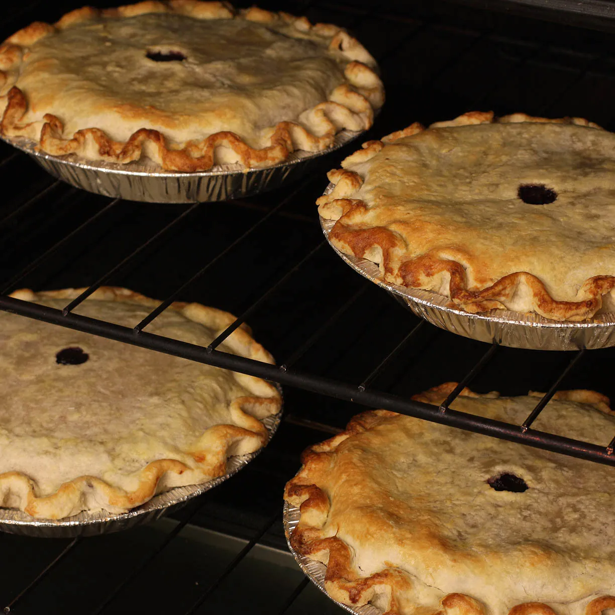 Homemade Huckleberry Pie