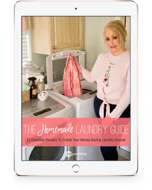 Homemade Laundry Guide eBook