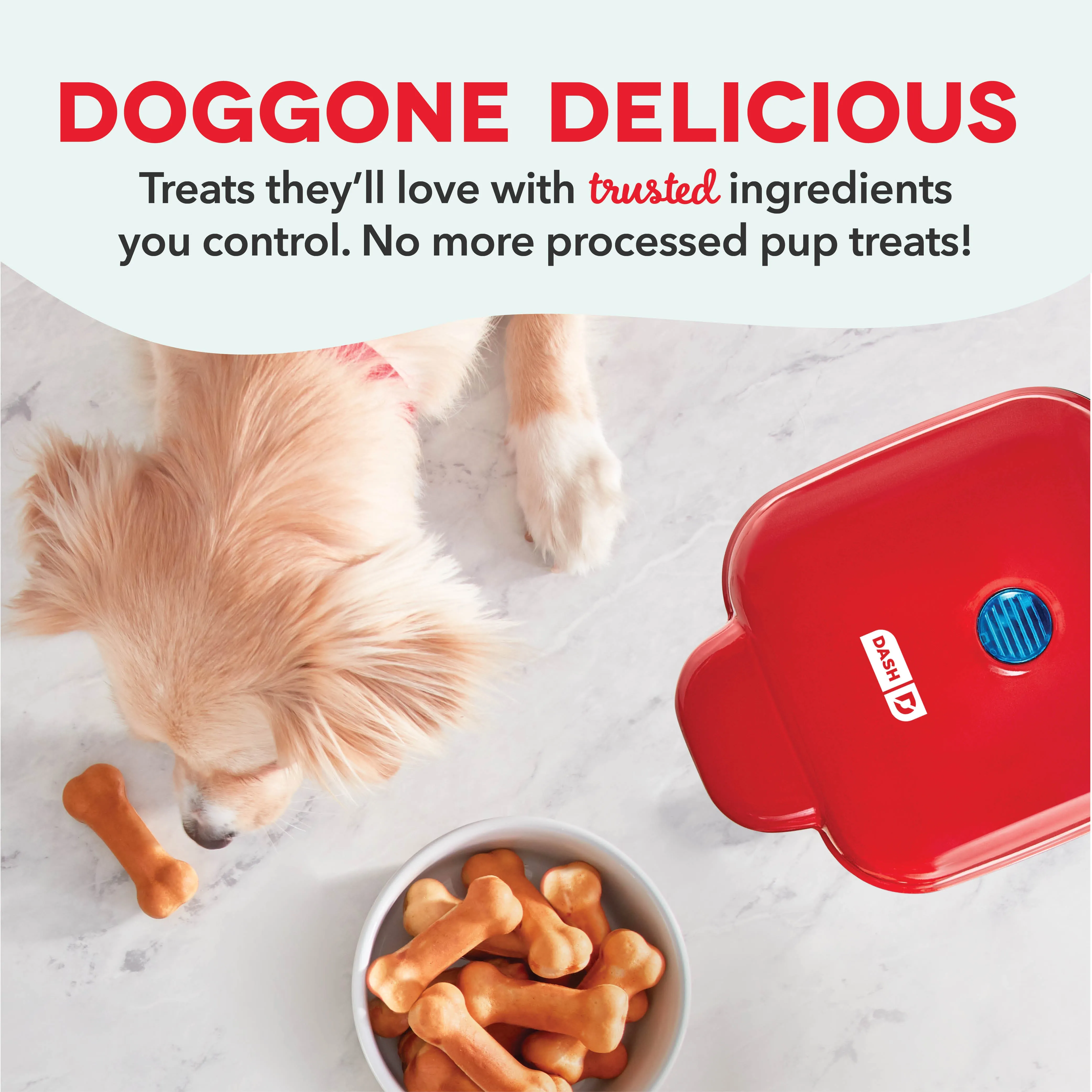 Compact Canine Snack Maker - Premium Mini Dog Treat Machine