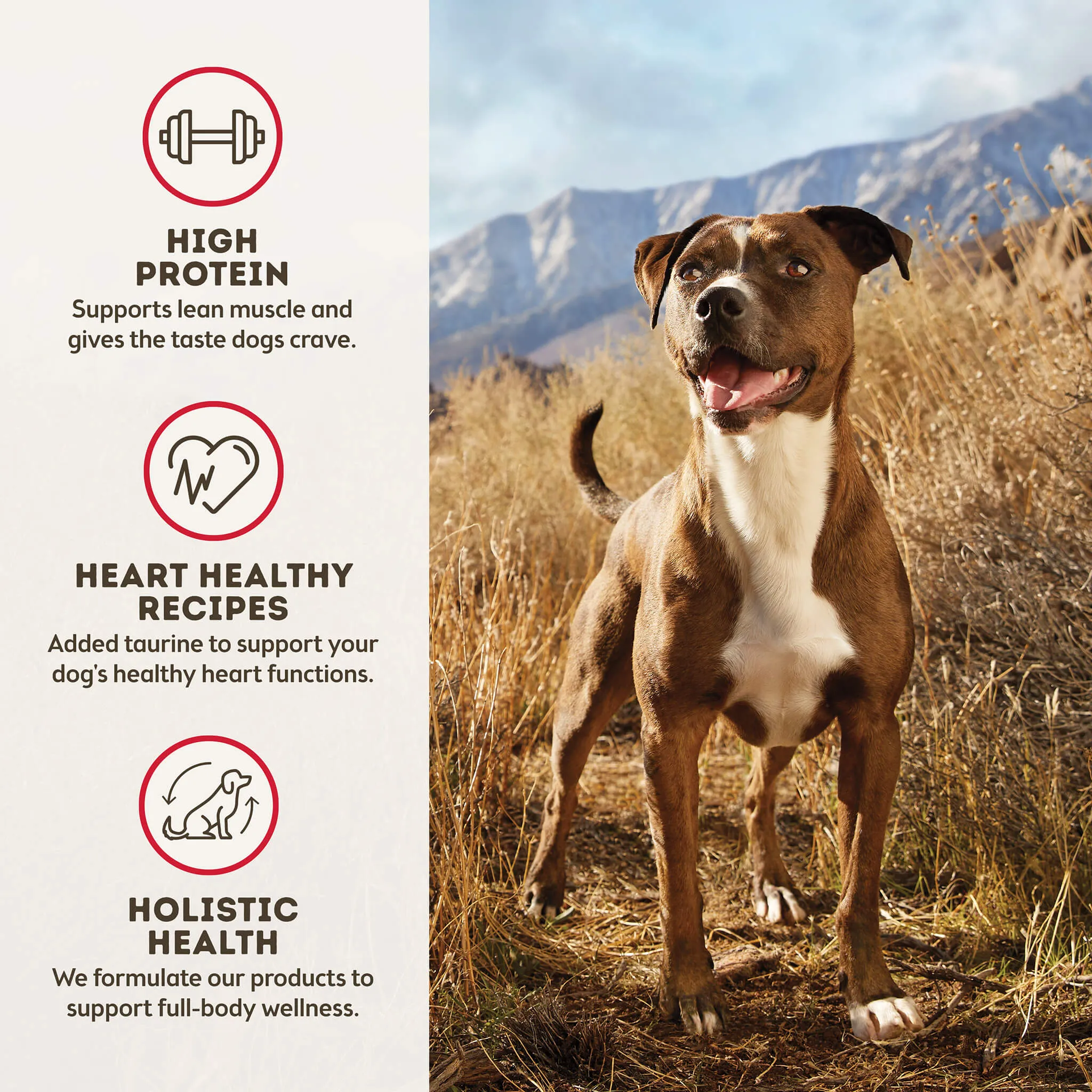 Only Natural Pet MaxBlends Grain-Free Beef Recipe Dehydrated Dog Food