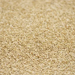 organic sesame seeds unhulled - 103