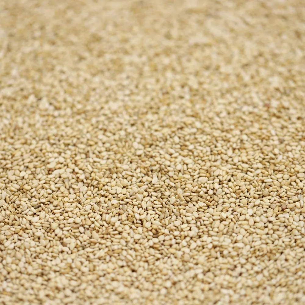 organic sesame seeds unhulled - 103