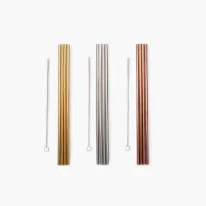 Porter Reusable Metal Straw Set