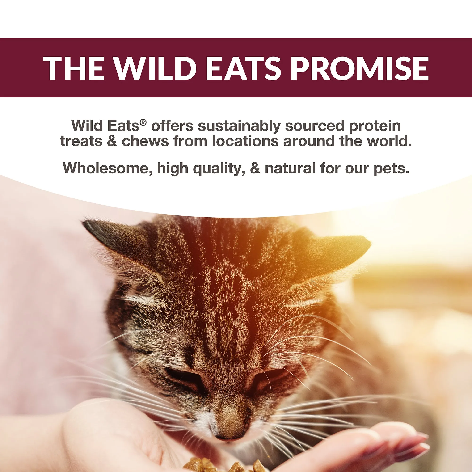 Wild Eats Simply Puree Variety Pack